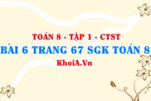 Bài 6 trang 67 SGK Toán 8 Tập 1 Chân trời sáng tạo